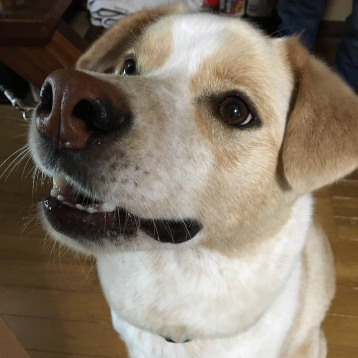 88bb4c5f f882 43b1 84dd ca1aa60e7393 1525562733277