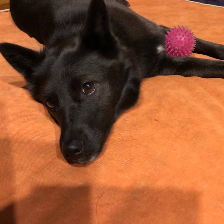 88bb8cb0 c4ef 43e2 8a59 945706f92d4a 1540549939638