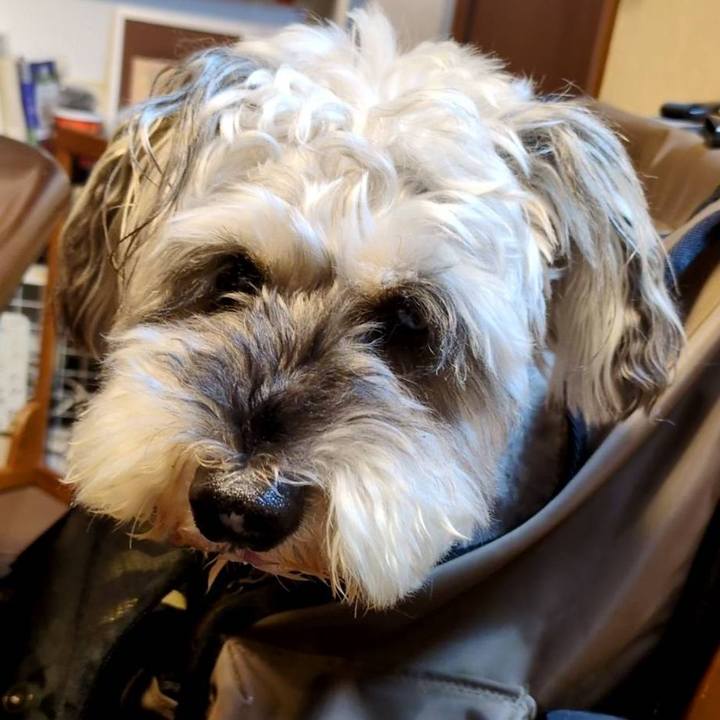 88bbd63c 1273 40f8 8c3f 04ccac147eb2 1755264161603