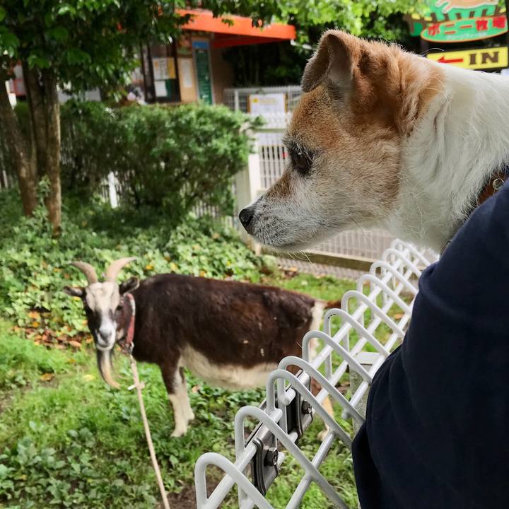 88bc11e0 2d36 467d 9efe d31411fce40d 1652522717243