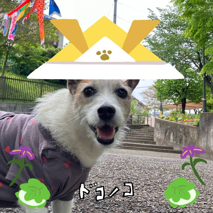 88bc586d 76e6 4e74 a05c 240b540950a4 1714956581874