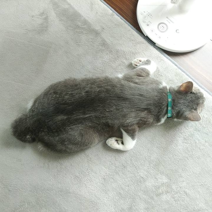 88bc8b6e d872 40b5 9fff 0dabfae0ce96 1590200243044