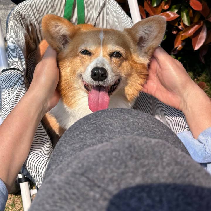 88bc96a6 f583 4714 af5e 42c58b5c3597 1745200514333