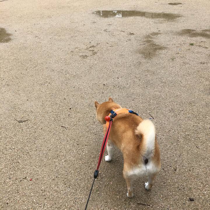 88bccc08 1abc 42b3 b38b 53402bd50933 1601033095084