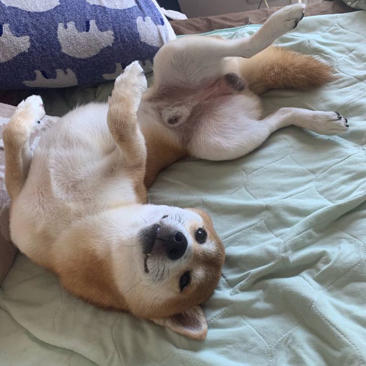 88bce600 cf6c 4764 87ea dedc3f2b251d 1571402480657