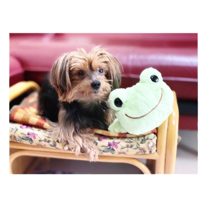 88bcec6e 31bb 4ebf a7b9 ec22ef69f361 1550878135936