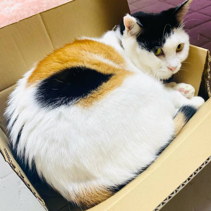 88bcf915 fee3 45c2 aa0d 088c95b9fd56 1729774035984