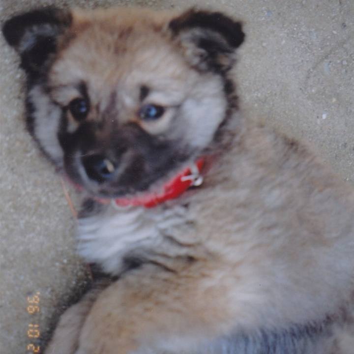 88bcfedc 66c3 4c83 8972 a8913e699210 1562932599637