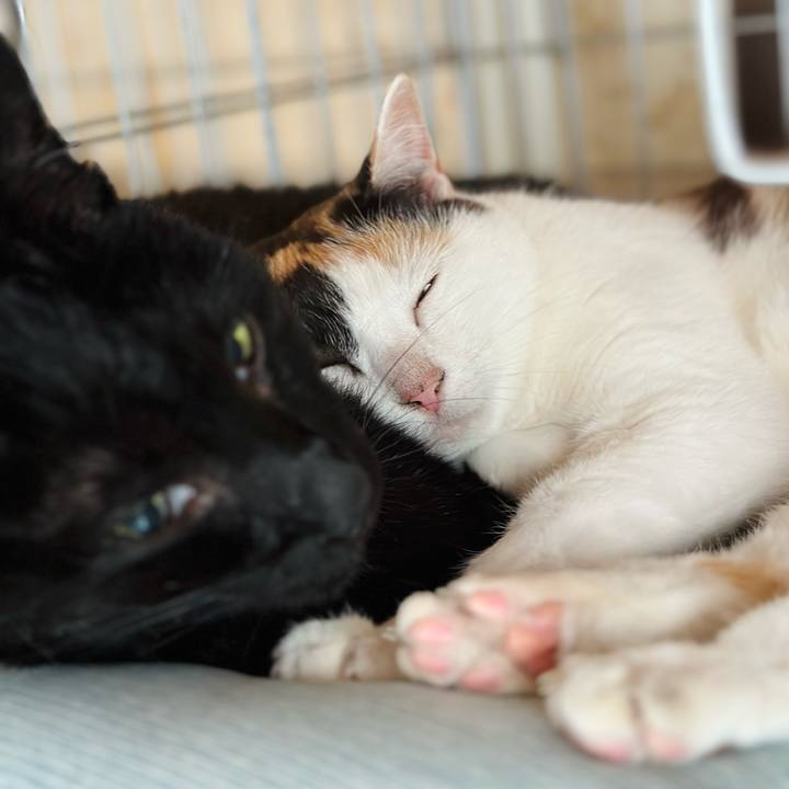 88bd0b6f 98c0 4f60 b646 ebfaccc94f39 1688090586272