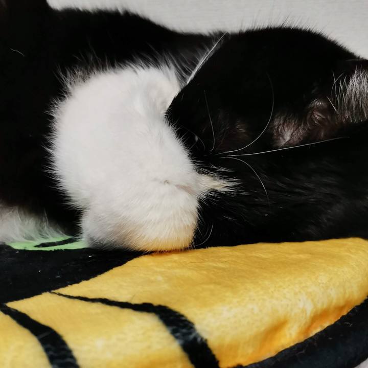 88bd40a0 5bc8 4393 9f6c dc9e2b64f03d 1707278325689