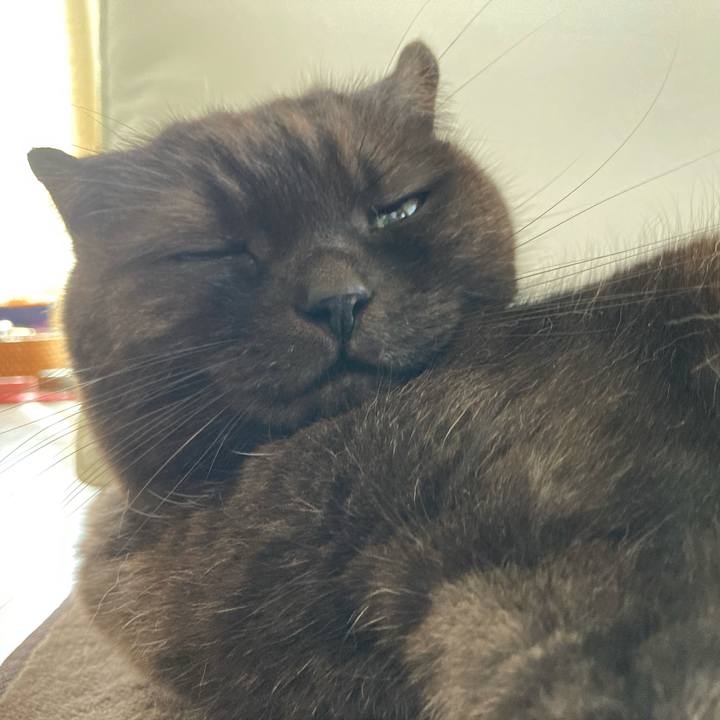 88bd6858 ae09 4968 bc08 79bb203b4518 1633958171338