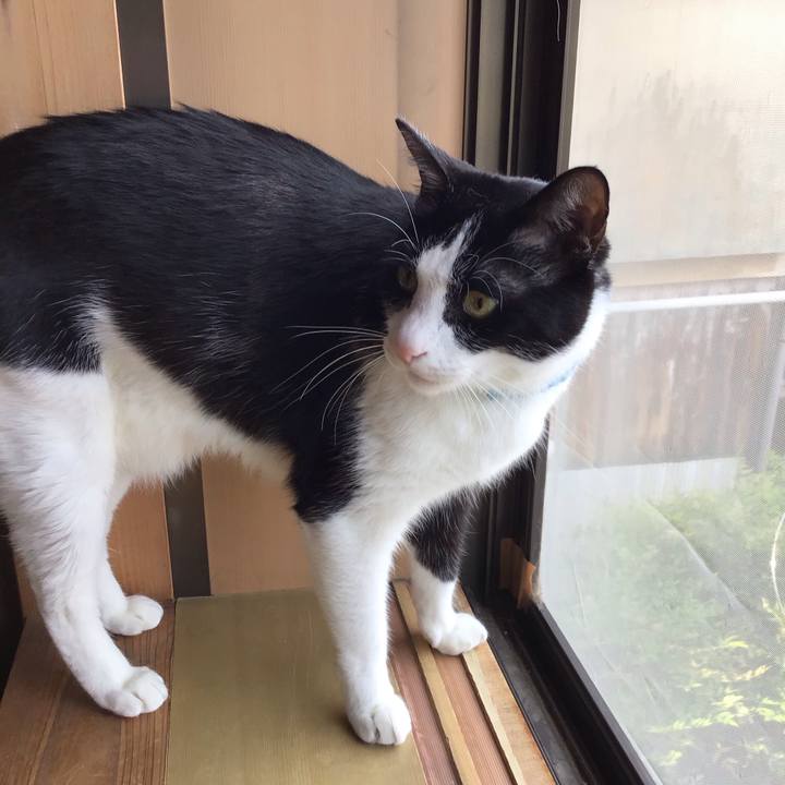 88bdbc1a b262 4c50 b05f e3d58ab2b216 1747213614170