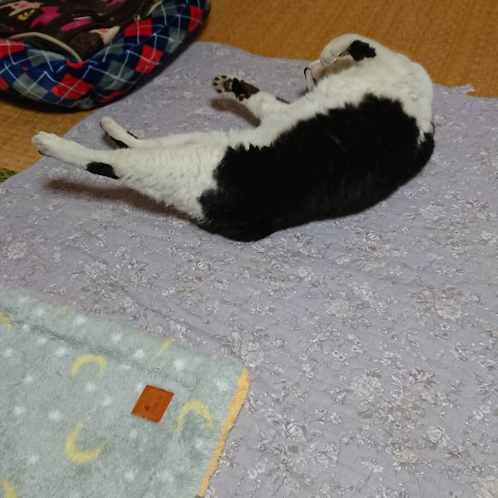 88bdc6cd 1547 481c b318 7c0e83e1fa94 1556194265949