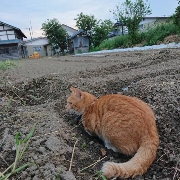 88bdc729 cefc 45be aa88 6da6d8912cb5 1567328848766