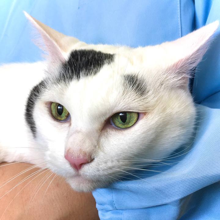 88bdde5b 0e17 4995 933b 72956cd66e56 1601713577904