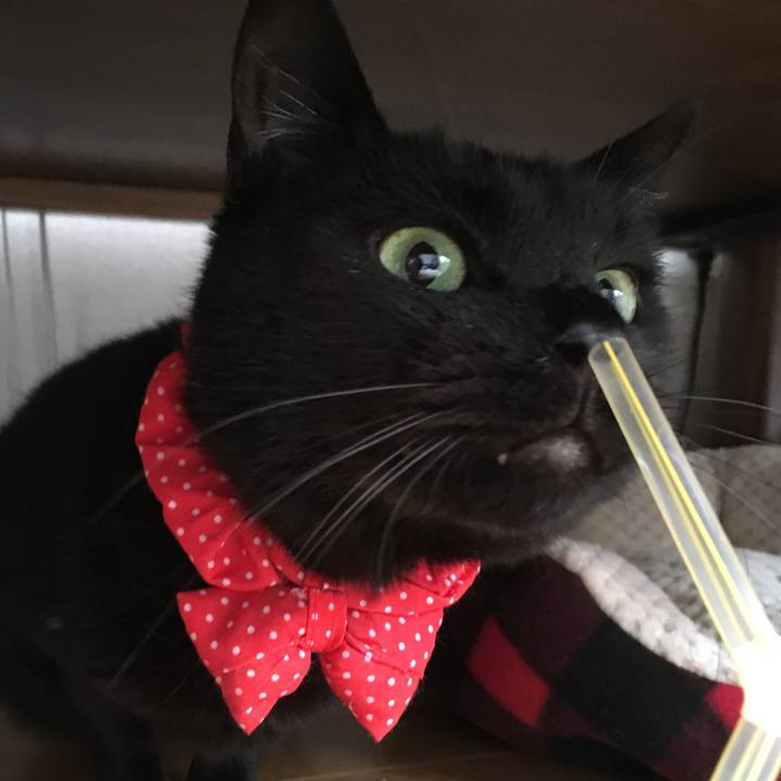 88bdf4dc d62b 4438 9145 ab48c241e6ed 1546137293623