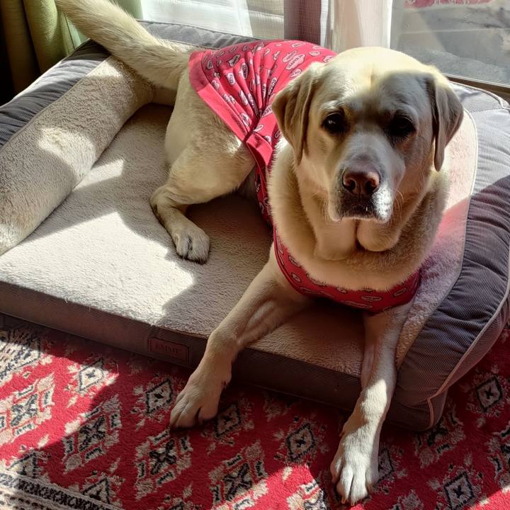 88be1f20 4ff6 46cf a8ee 6c2b58fc3b1e 1645501772841