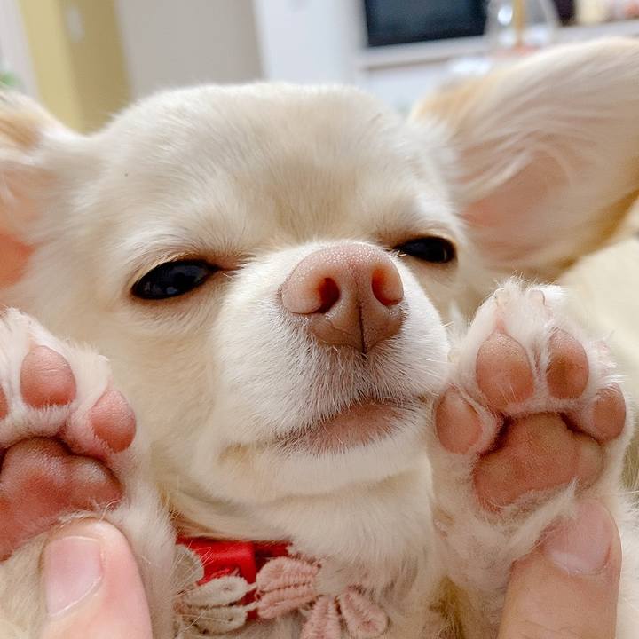 88be4e1c 4189 4b04 88a2 daf8c4cc0420 1615285519235