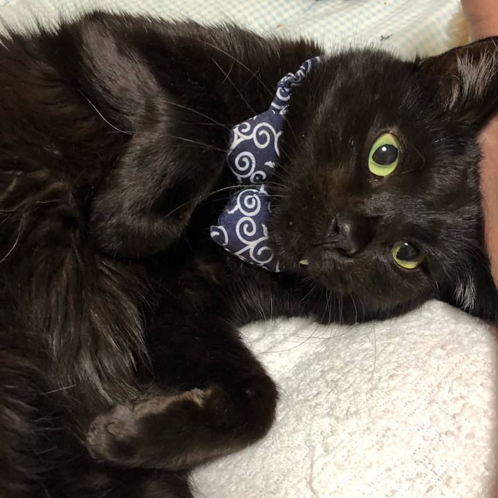 88be517d ec81 46d1 8e61 0be7adee26b3 1578486139293