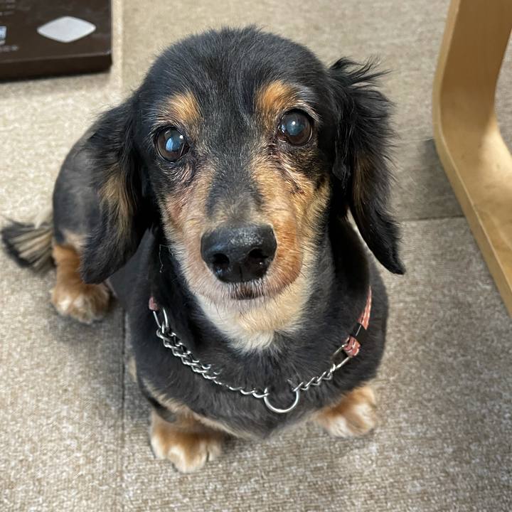 88be5d07 e009 42ef a9d9 7356c1fb4096 1609293503940