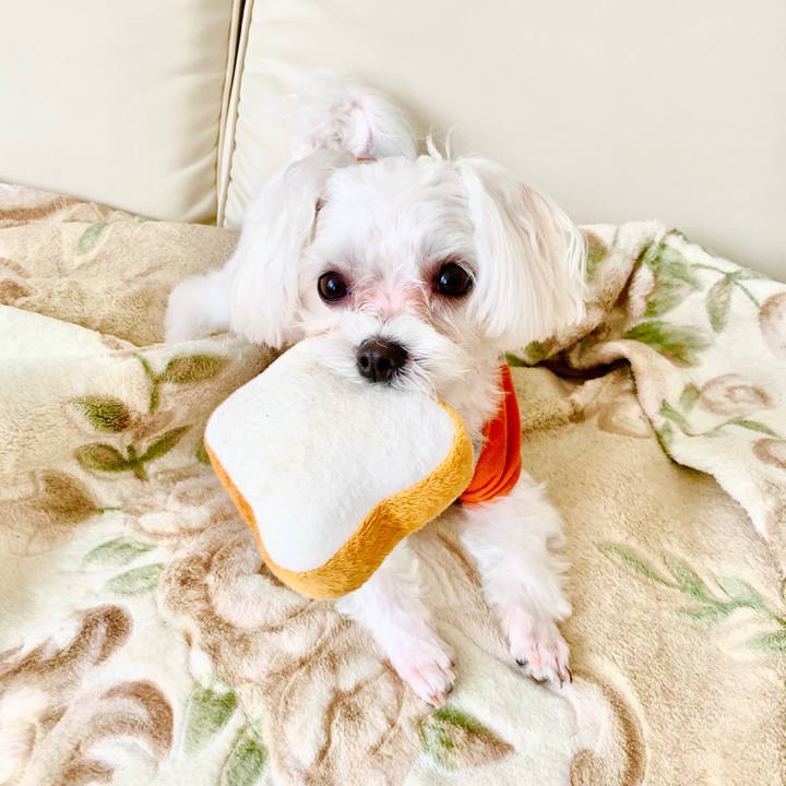 88be64eb 8fe0 49bd a8eb f4ac739ed22b 1615520926630