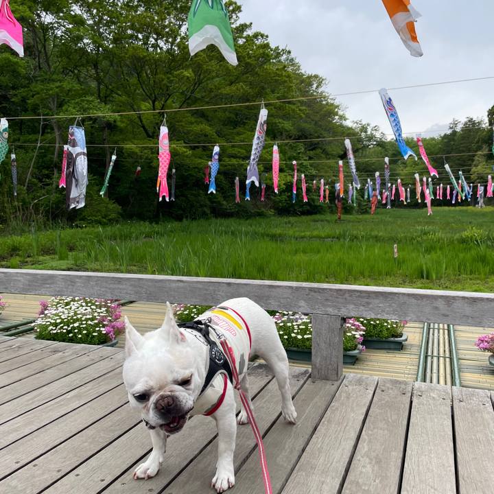 88bee77a 9e36 4be0 a265 2f90c30fff2a 1746399643534