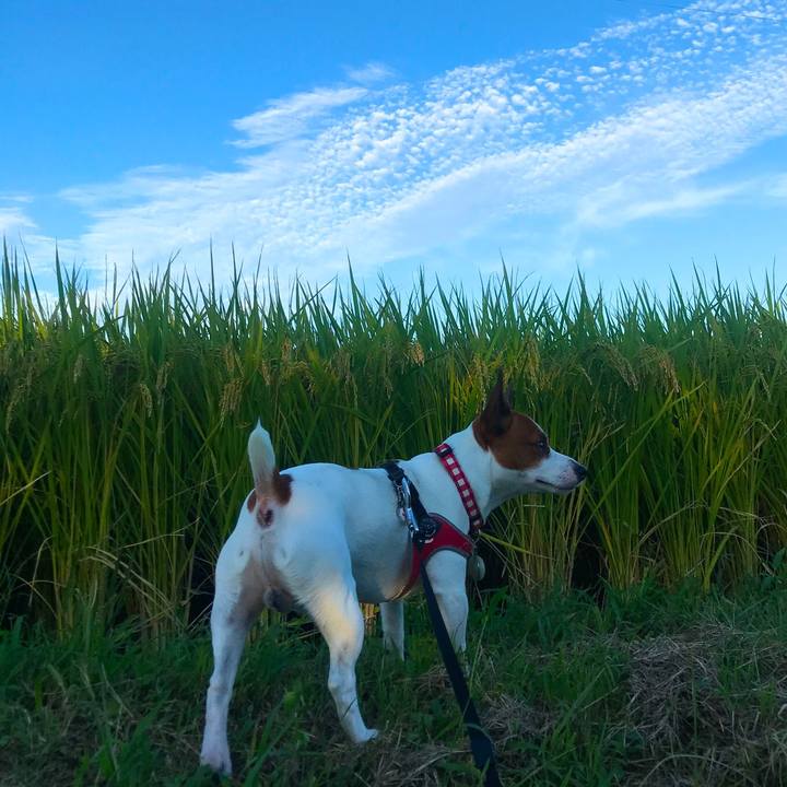 88bf12c0 045a 4e11 a528 9d521725a7e7 1537612843877