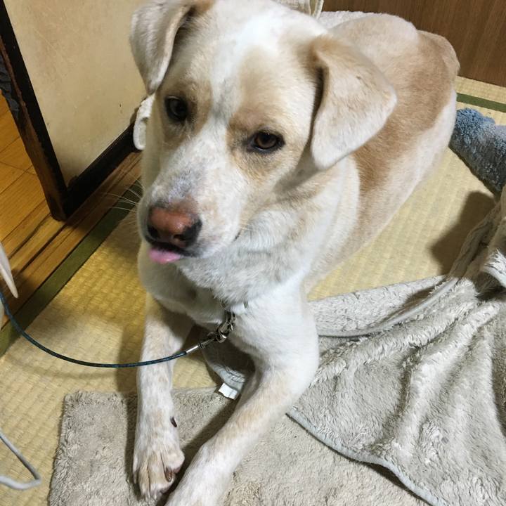 88bf205c f4c6 4658 8659 23277b0a1b56 1508594469413