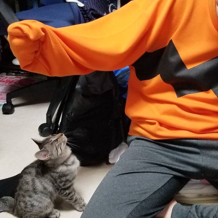 88bf2f73 56dc 4be2 84a2 62f521f7b87f 1667354605437