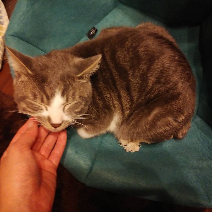 88bf7574 d322 4cd0 8bc5 646088585e2f 1581610751764