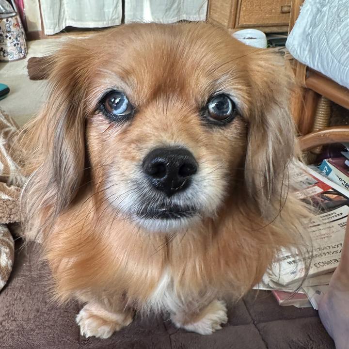 88bf85c6 9933 4dd5 94ed 392454275ede 1735947735618