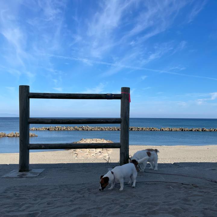 88bfa1d2 b126 4203 9689 90f25d355bef 1662852853554