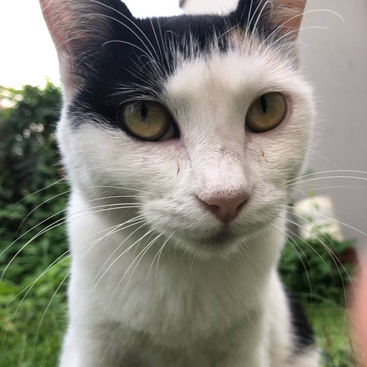 88bfc91a 6cd4 4614 b3f1 ebbe679152fb 1598610875463