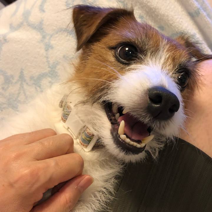 88bfe6dc 9f85 483b afae 115225a2d6c2 1598769375975