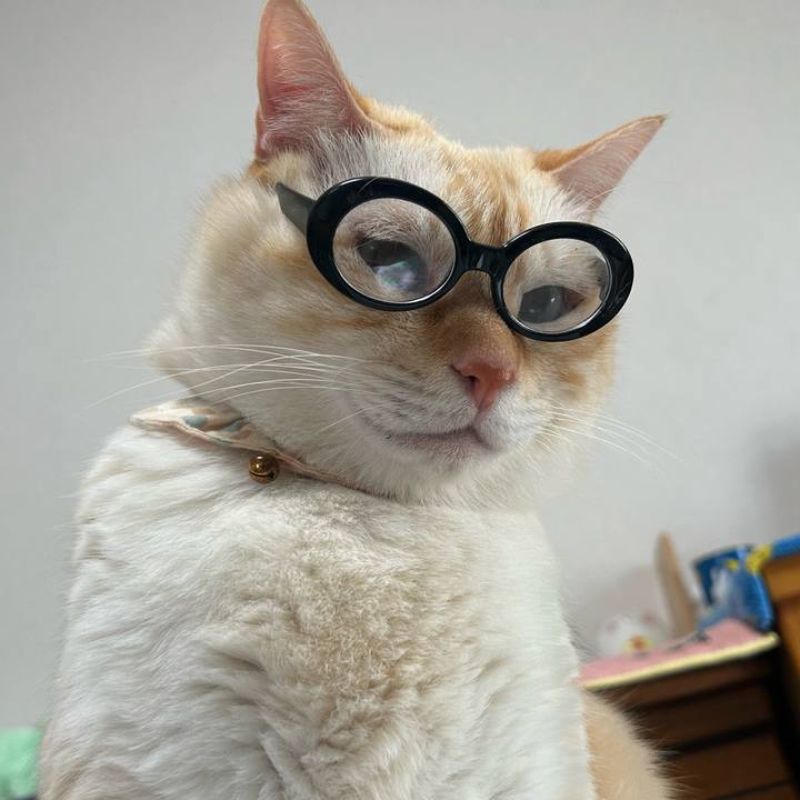 88c02692 6e86 482c af80 0f001a277ffa 1723454918234