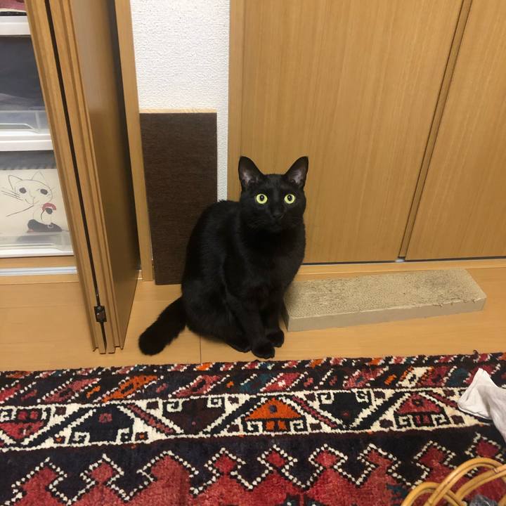 88c026a5 32f9 45dd 865a bf42e672ef0f 1582291725913