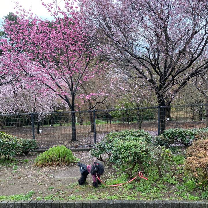 88c03fa7 db0d 43a7 a4c6 06e11397420e 1679692976614