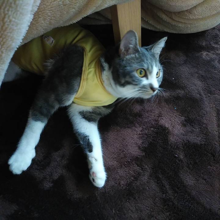 88c04357 f44c 4bbb 937a f492b473c4fb 1584313191417