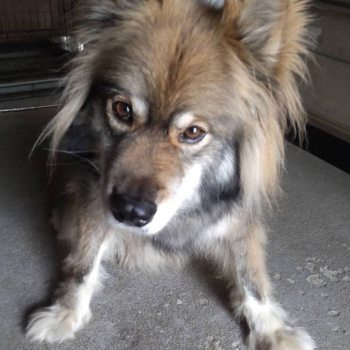 88c06d62 7fdf 4d0d afbf 09a88b74de23 1653311204761