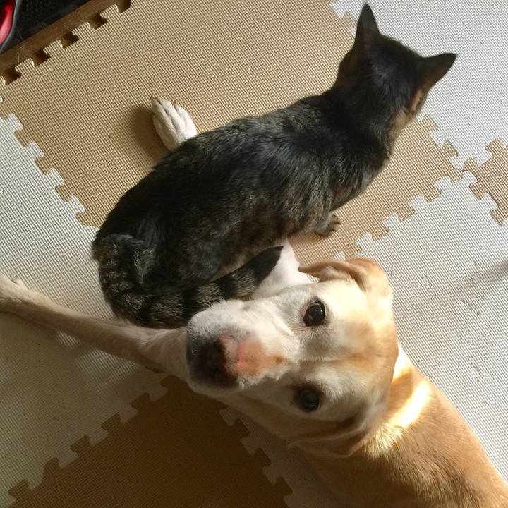 88c081b0 ea9d 4719 960e 741d7c217f4a 1548779746279