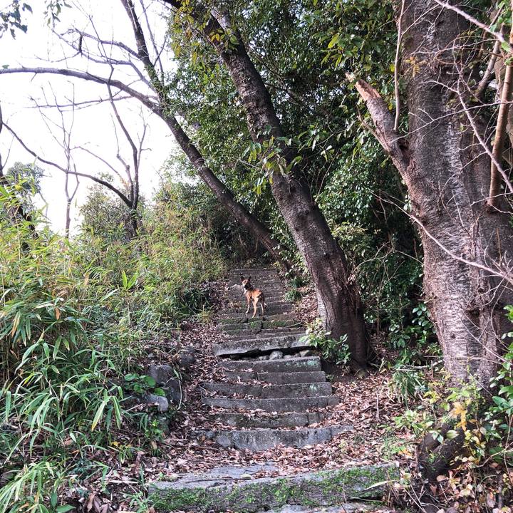 88c082e5 4572 41fd 94a0 79dbfff6f85e 1577977280496