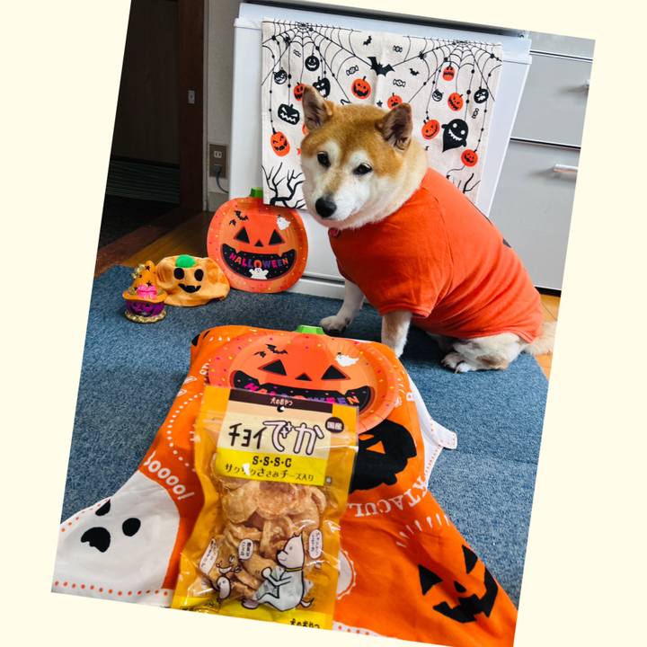 88c08cea 5000 415c b4c3 00cbfa6a9c25 1727582607312