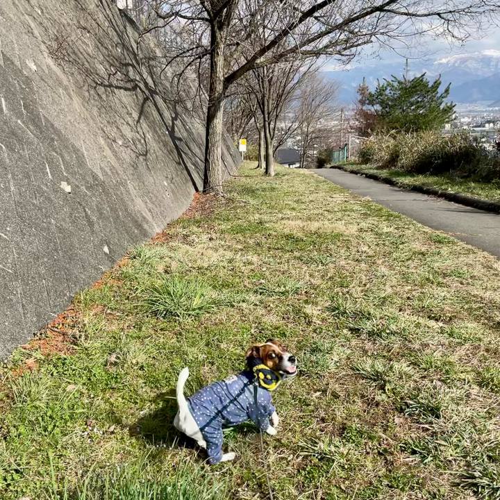 88c0a52d 5590 47fe 898b 39937ab39fe2 1648112832432