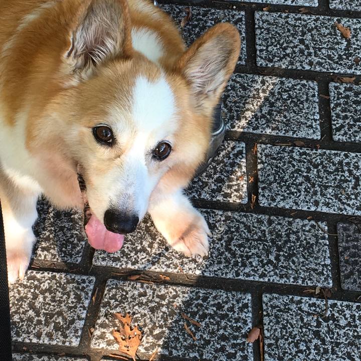 88c0a970 2f17 49d2 a080 1f23b63724e9 1568071530050