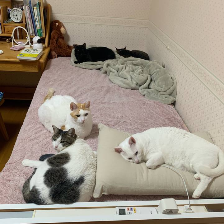 88c0d499 83b8 46c9 a98a d12a32151825 1640446078275