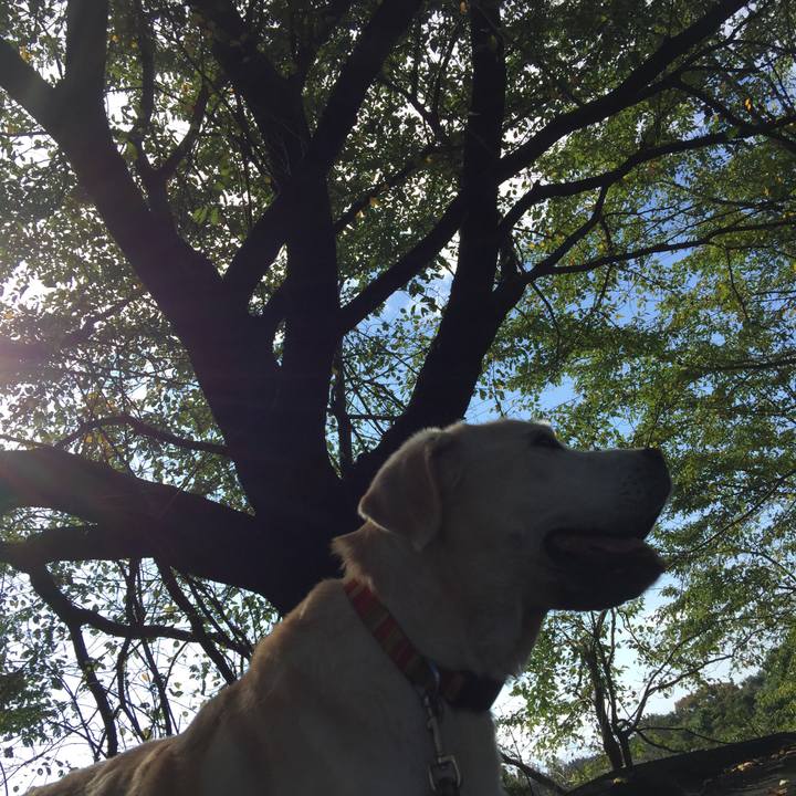 88c0d9b3 0358 483b 8dc5 1c6e9de9a236 1561937509351