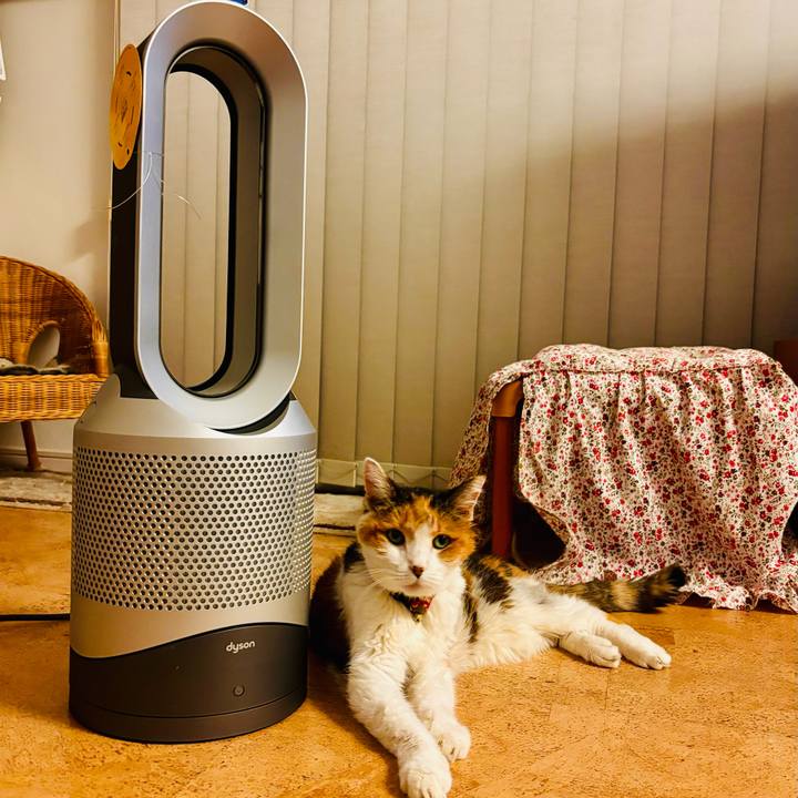 88c0e238 592e 41f1 ba64 995946621524 1729170529172