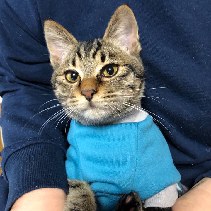 88c0f4d5 c593 451c a287 0e1facbfffdb 1731880946521