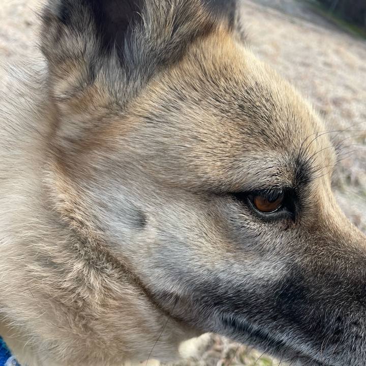 88c100d5 4ea7 4d40 8ed8 4ec89ca4a716 1645705530160