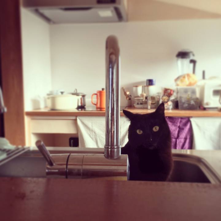 88c11a1a 5418 4b8c bd05 6fe180288d98 1521759048736